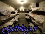 شایعترین علت فوت جوانان تهرانی